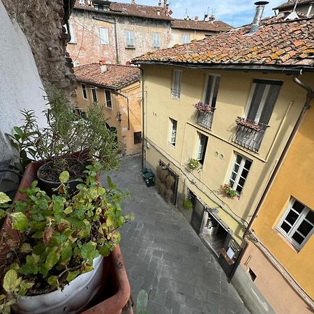 Micheli Suite Anfiteatro Square Lucca Esterno foto