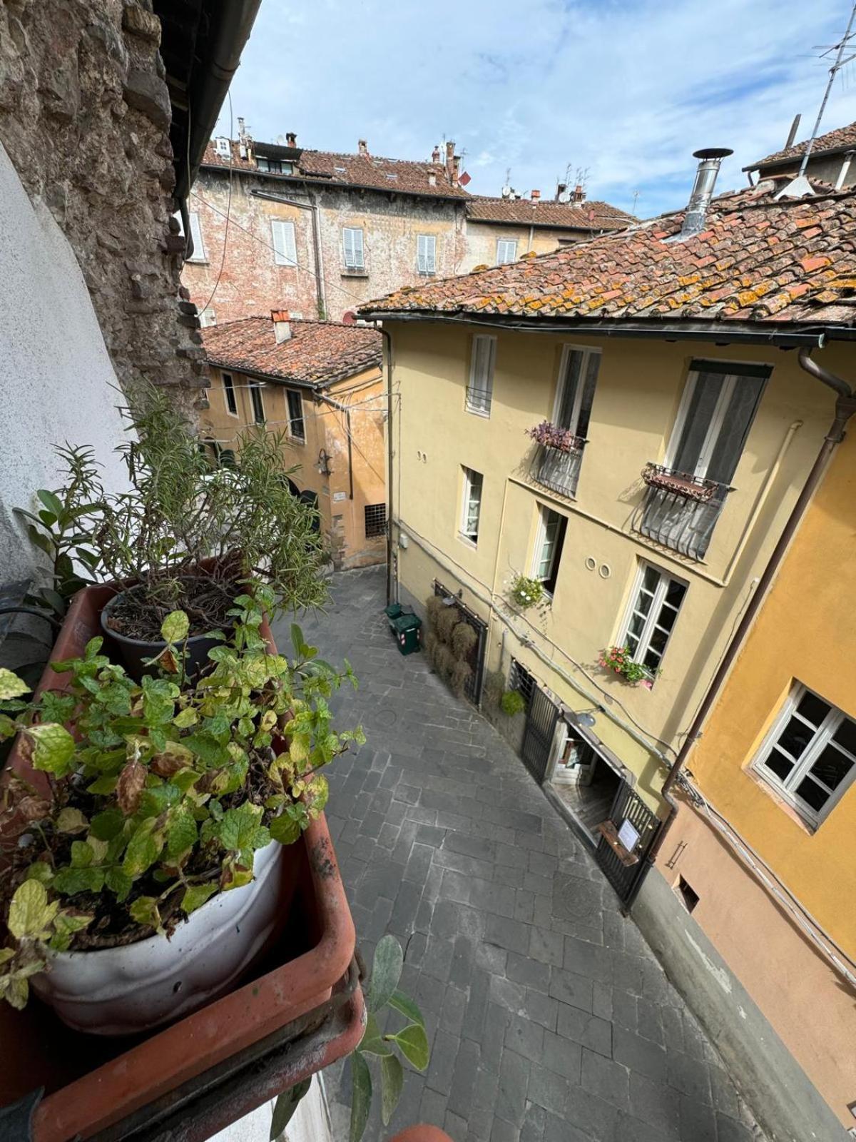 Micheli Suite Anfiteatro Square Lucca Esterno foto