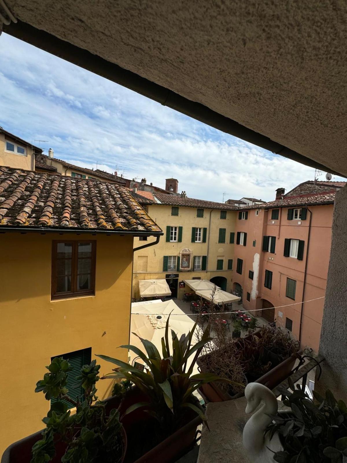 Micheli Suite Anfiteatro Square Lucca Esterno foto
